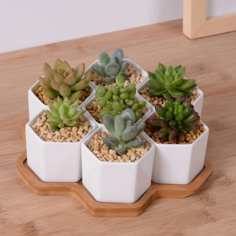 Desk Setup White - Set of 4/7/9/10 Hexagon Flowerpots White