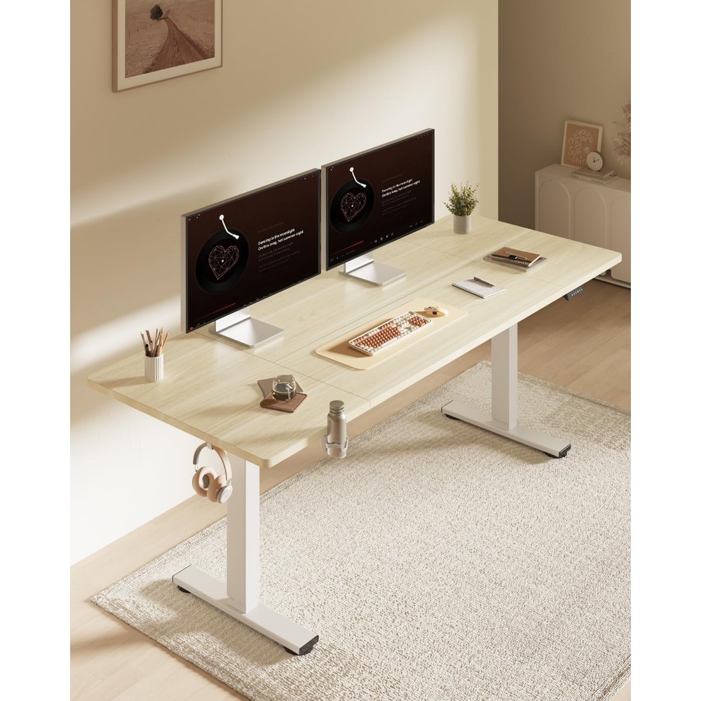 FLEXISPOT 63x32 Inch Electric  - Desk Setup White review and price