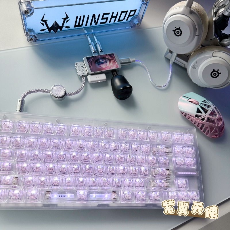 WINSHOP Esports HUB Dual-In 4- - Desk Setup Accessories Aesthetic review and price