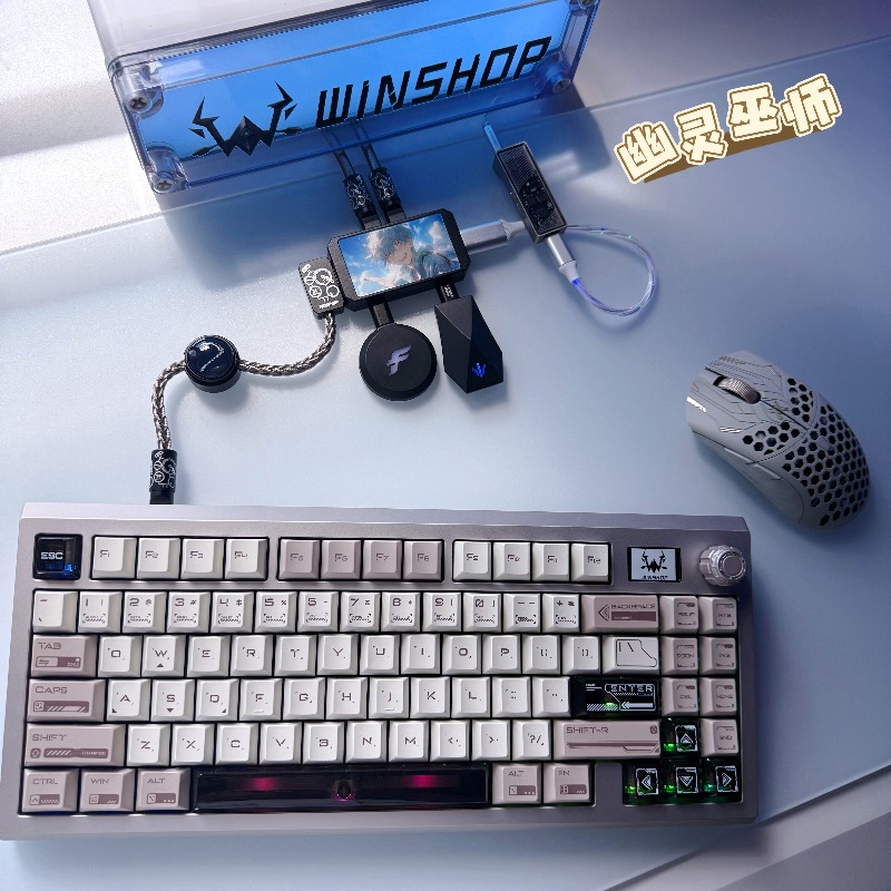 WINSHOP Esports HUB Dual-In 4- - Desk Setup Accessories Aesthetic review and price