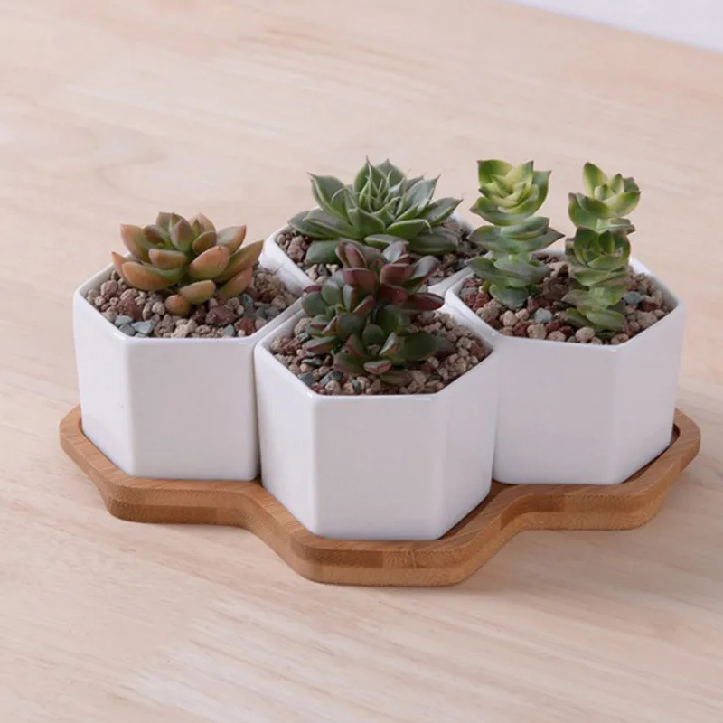Set of 4/7/9/10 Hexagon Flower - Desk Setup White review and price