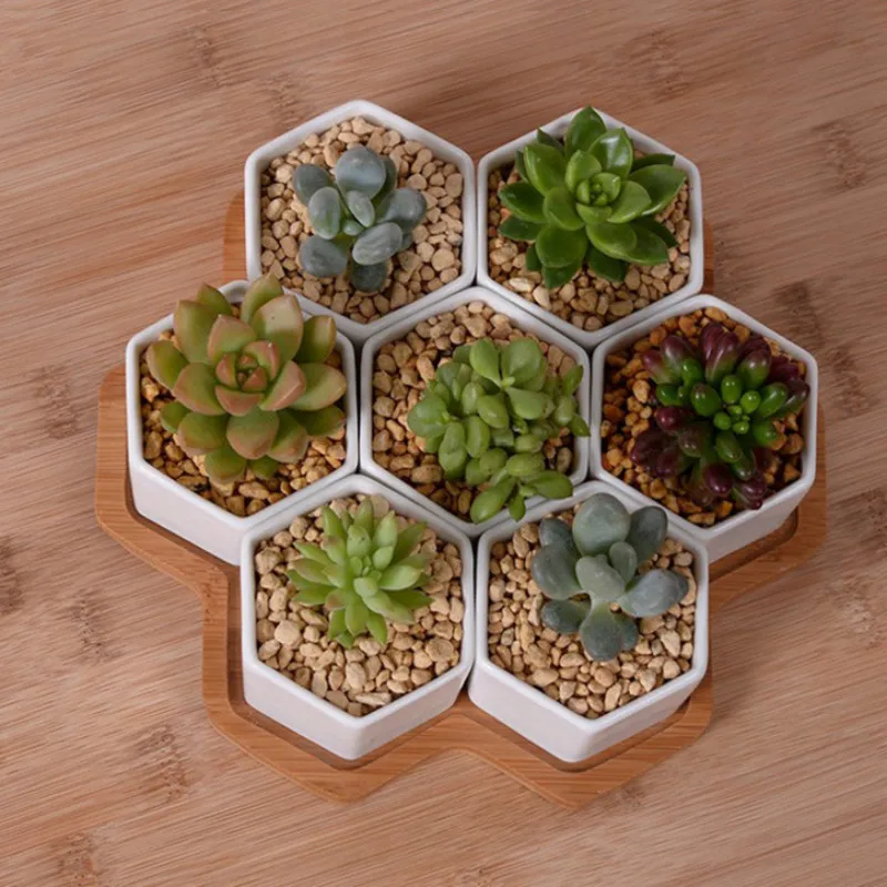 Set of 4/7/9/10 Hexagon Flower - Desk Setup White review and price