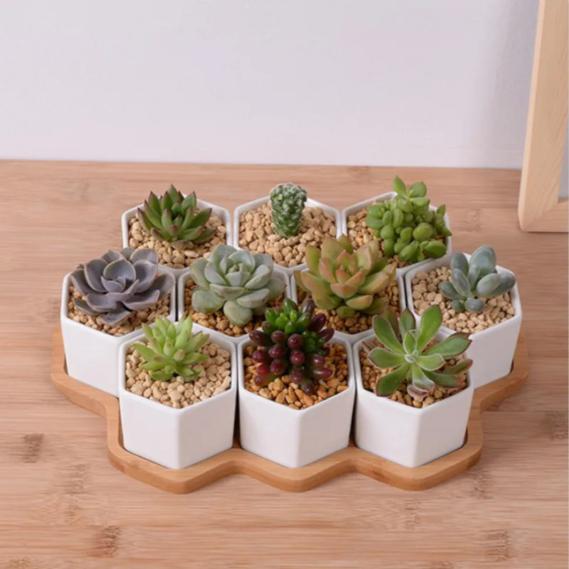 Set of 4/7/9/10 Hexagon Flower - Desk Setup White review and price